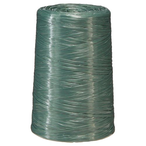 Floristik24 Gartner raffia grøn raffia blomsterhandler 3500m 5 stk