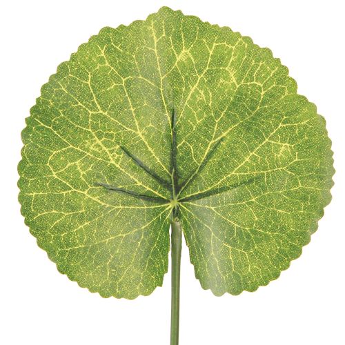 Floristik24 Galax Urceolata Blade Kunstgrøn Ø10cm L23cm 12 stk