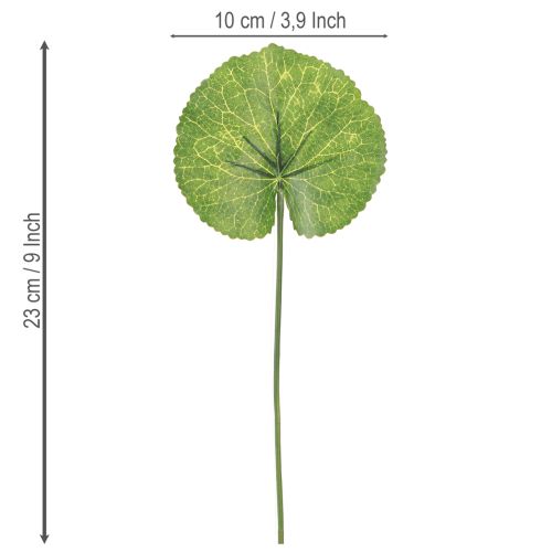 Artikel Galax Urceolata Blade Kunstgrøn Ø10cm L23cm 12 stk