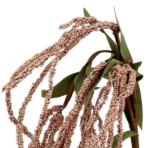 Floristik24 Haverævehale 95cm