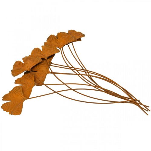 Floristik24 Havestag rust gingko bladbed stak 7x5cm 6stk