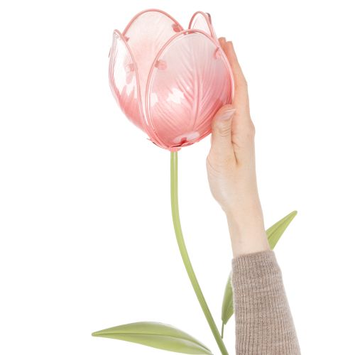 Havepælsblomst dekorativ tulipan til blomsterbede og kanter 94 cm | Floristik24.dk