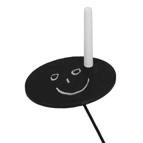 Artikel Bed Stakes Have Stakes Træskilte Oval Sort H17,5 cm Pakke med 12