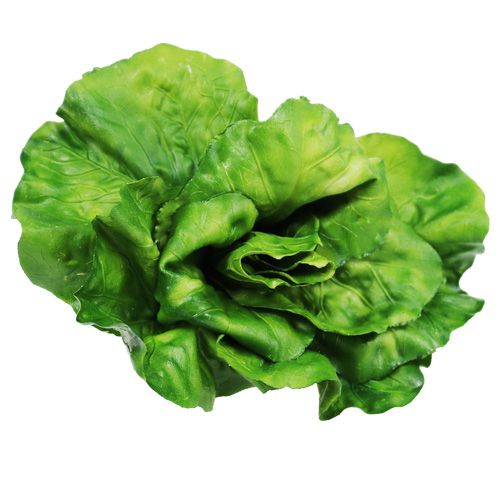 Floristik24 Vegetabilsk sortiment på nettet