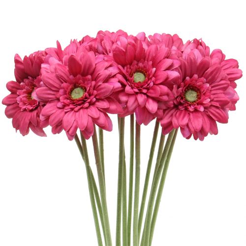 Gerbera Pink 48cm 12stk