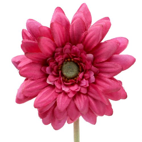 Gerbera Pink 48cm 12stk