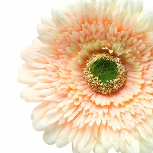 Floristik24 Gerbera kunstig fersken 62 cm 6stk