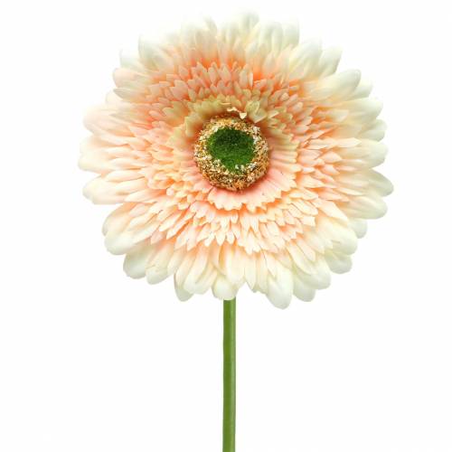 Floristik24 Gerbera kunstig fersken 62 cm 6stk