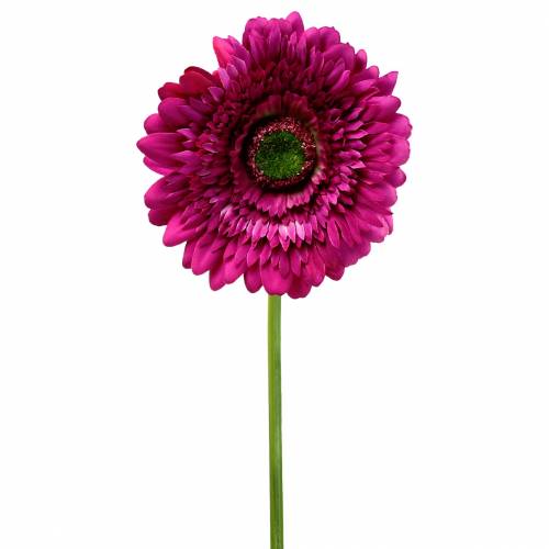 Floristik24 Gerbera kunstig lilla 62 cm 6stk