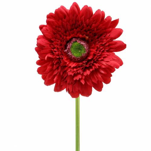 Floristik24 Gerbera kunstig rød 62 cm 6stk