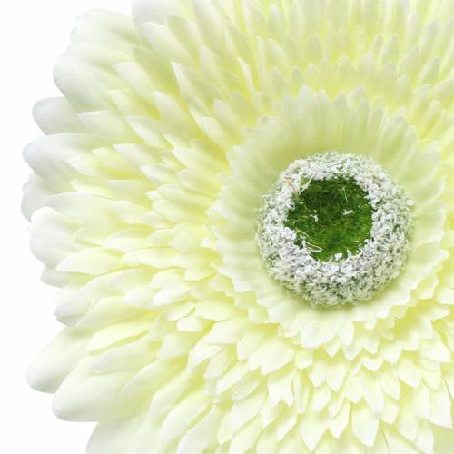 Artikel Gerbera kunsthvid 62cm 6 stk