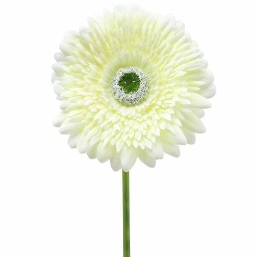 Gerbera kunsthvid 62cm 6 stk