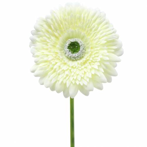 Artikel Gerbera kunstig hvid 62cm 6stk