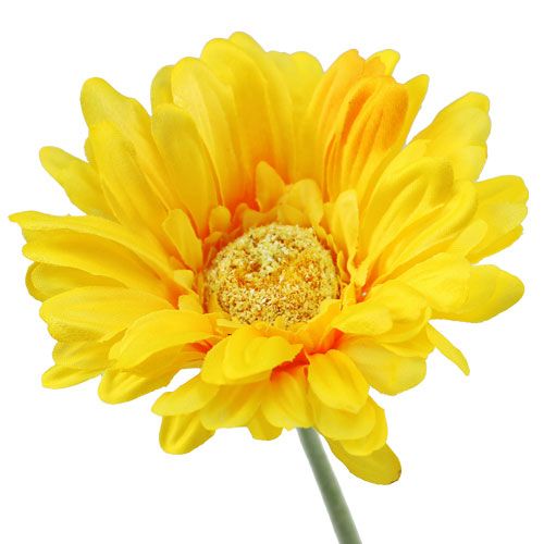 Floristik24 Gerbera kunstig gul Ø10cm L55cm 6stk