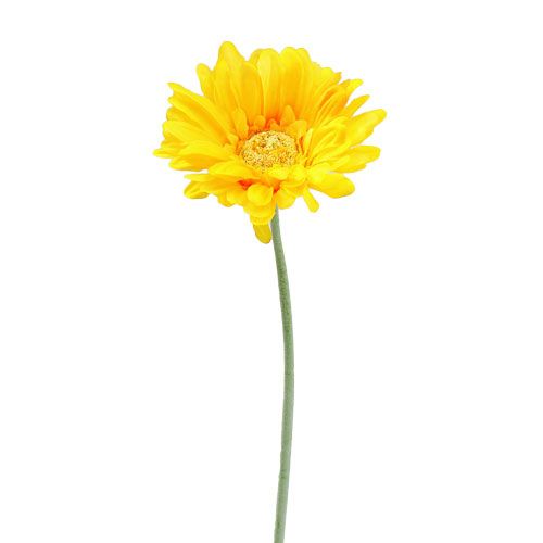 Floristik24 Gerbera kunstig gul Ø10cm L55cm 6stk