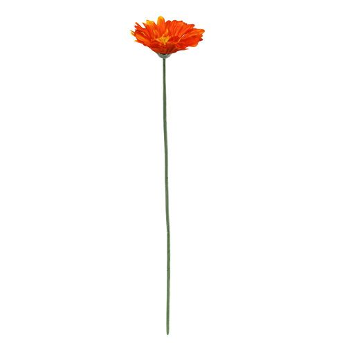 Artikel Gerbera Orange Ø10cm L55cm 6stk