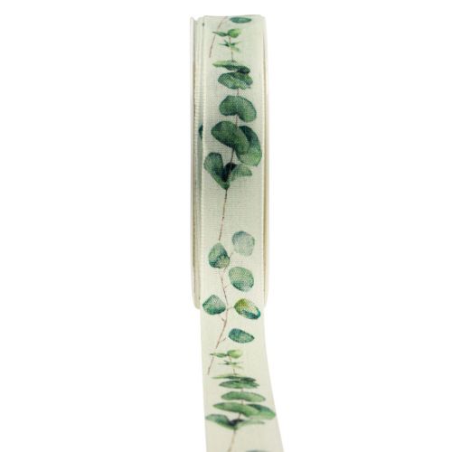 Floristik24 Gavebånd eukalyptus pyntebånd grønt 25mm 20m
