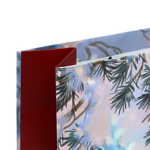 Floristik24 Gavepose stor snemand 25cm x 34,5cm 1p