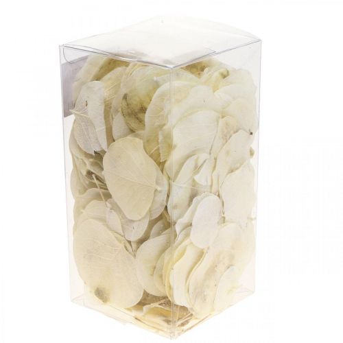 Artikel Tørrede blade dekoration Moneta tør blomstercreme 100g