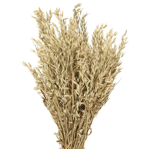 Artikel Tørret havre dekorativt havrebundt naturligt dekorationsbundt 60cm 200g