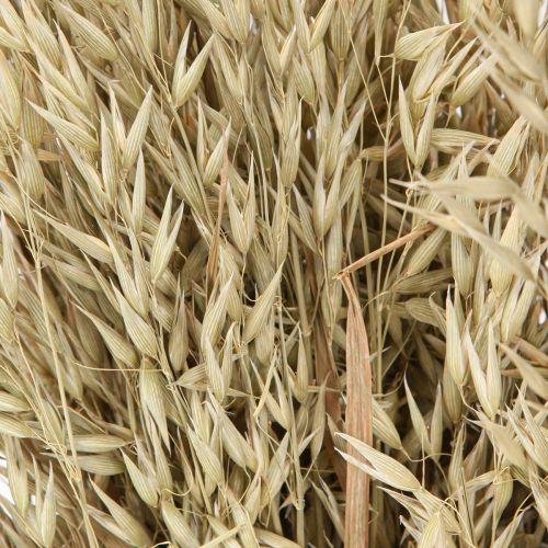 Artikel Tørret havre dekorativt havrebundt naturligt dekorationsbundt 60cm 200g
