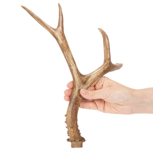Kunstige gevirer, naturtro, rustikke, 32 cm | Floristik24.dk