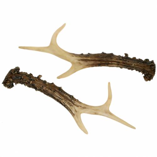 Floristik24 Deco gevir landhus dekoration borddekoration 23cm 2stk