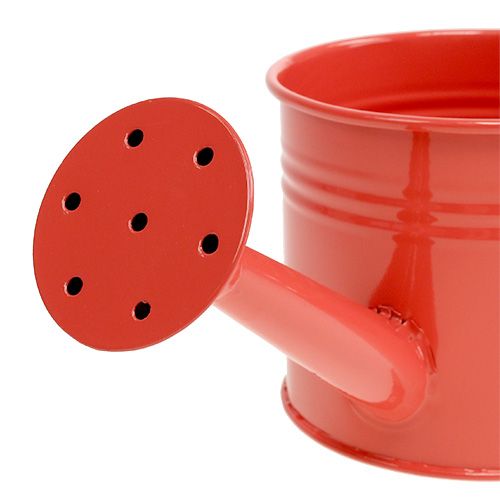 Floristik24 Vandkande Orange Mix Ø11cm H9cm 8stk