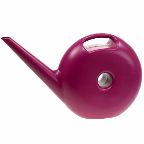 Floristik24 Vandkande Donut Pink 4.8l