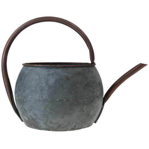Floristik24 Dekorativ vandkande til udplantning, plantekande 29,5cm H22cm