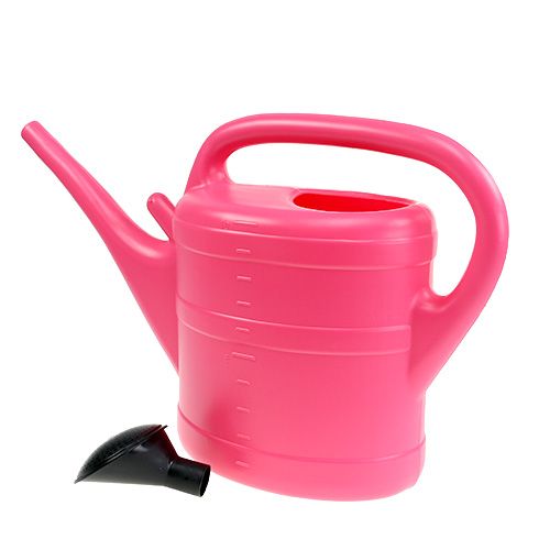 Floristik24 Vandkande pink 10L