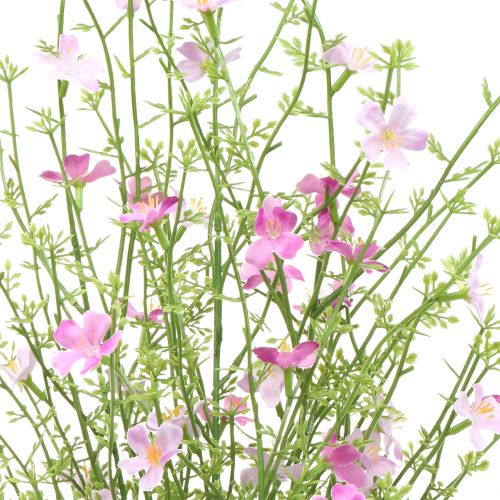 Floristik24 Gorse bush lilla 60cm