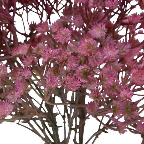 Floristik24 Gypsophila Gypsophila Gypsophila kunstig pink 35cm 5 stk.
