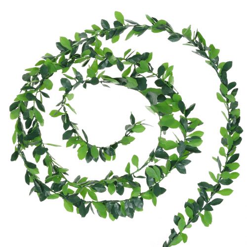 Floristik24 Plante kransegrøn 7,5 m