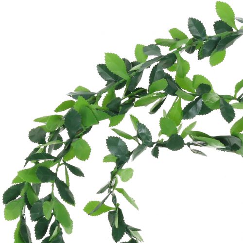Floristik24 Plante kransegrøn 7,5 m