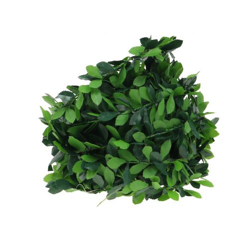 Floristik24 Plante kransegrøn 7,5 m