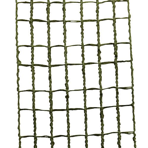 Floristik24 Mesh tape 4,5 cm x 10 m mosegrøn