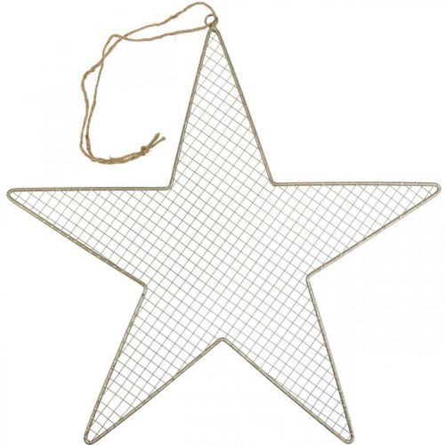 Artikel Metal Star Mesh Deco Star Metal Deco Guld Ø57cm