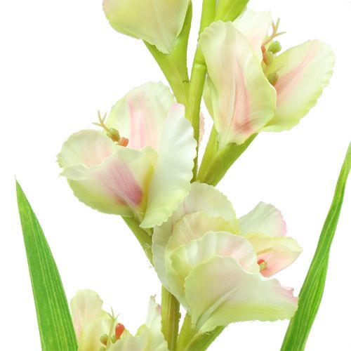 Floristik24 Gladiolus hvid 93cm