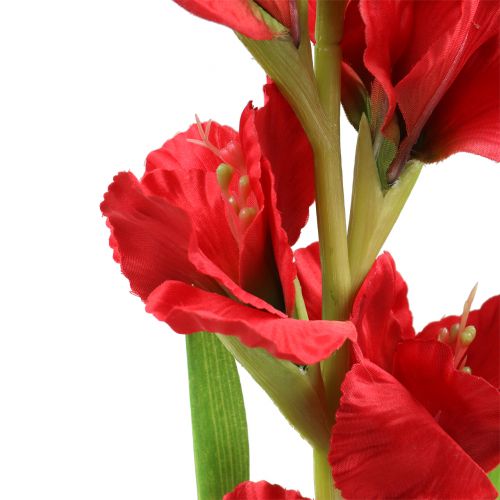 Artikel Gladiolus Rød 93cm