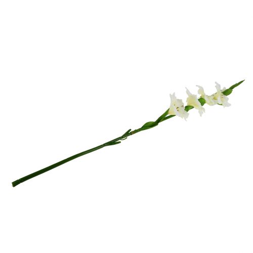 Floristik24 Gladiolus hvid 86 cm kunstig