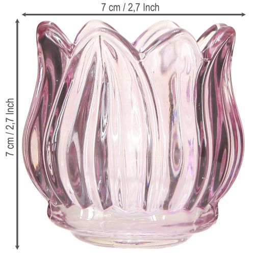Artikel Glas fyrfadsstage fyrfadslys glas tulipan lilla Ø7cm H7cm 2stk