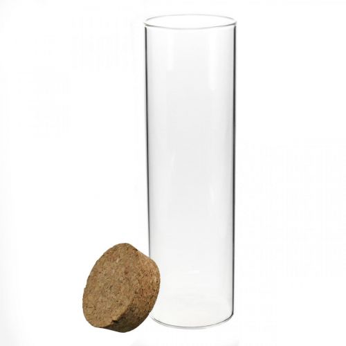 Floristik24 Glas med kork låg Glascylinder med kork Klar Ø6cm H21cm