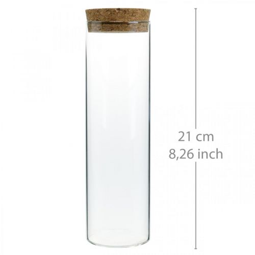 Artikel Glas med kork låg Glascylinder med kork Klar Ø6cm H21cm