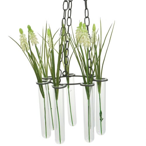 Floristik24 Hængekrans reagensglas Ø18cm