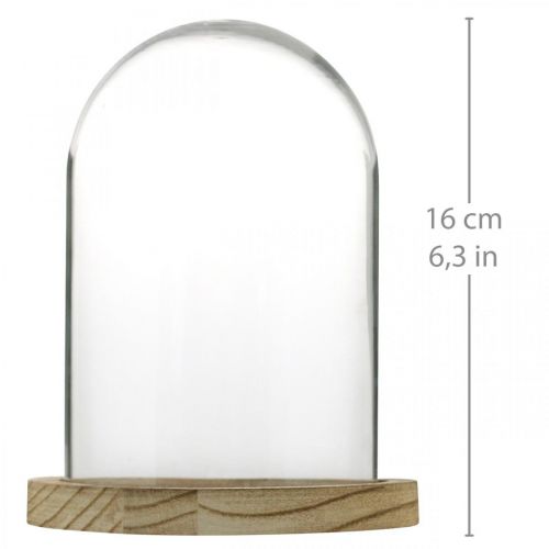 Artikel Dekorationsklokke, glaskuppel med træplade, borddekoration H16cm Ø12,5cm