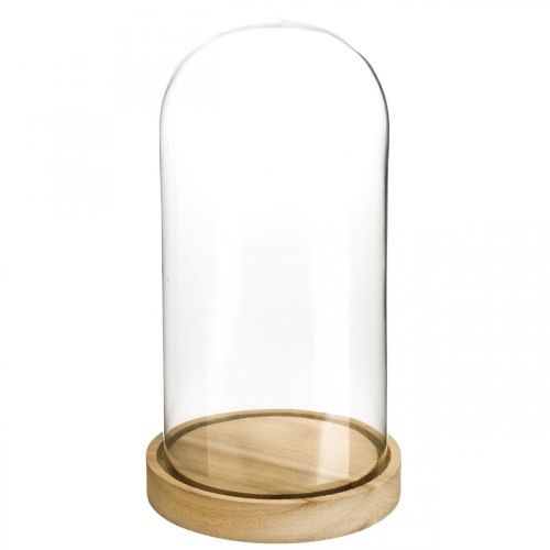 Floristik24 Glasklokke med plade, glaskuppel, glashætte dekoration H21cm