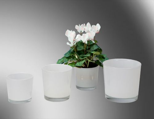 Floristik24 Hvid glasspand