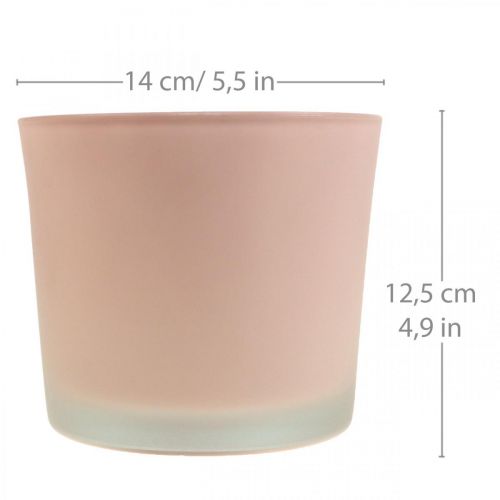 Artikel Urtepotte glas plantekasse pink glasbalje Ø14,5cm H12,5cm
