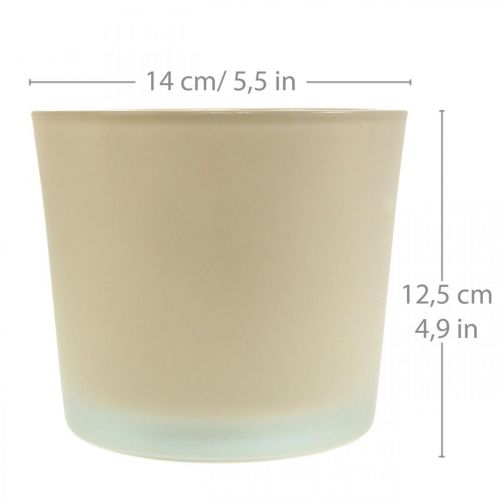 Artikel Glasurtepotte beige plantekrukke glaspotte Ø14,5cm H12,5cm